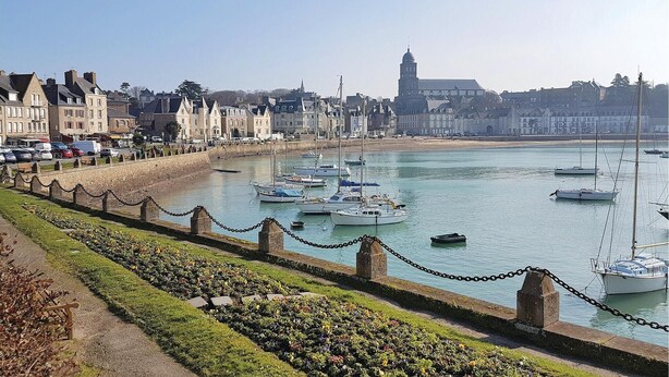Eine Küstenstadt mit einem Hafen voller Boote, einer Blumenpromenade und historischen Gebäuden am Wasser.