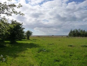 Imagen sin descripción, 5 de 10, botón