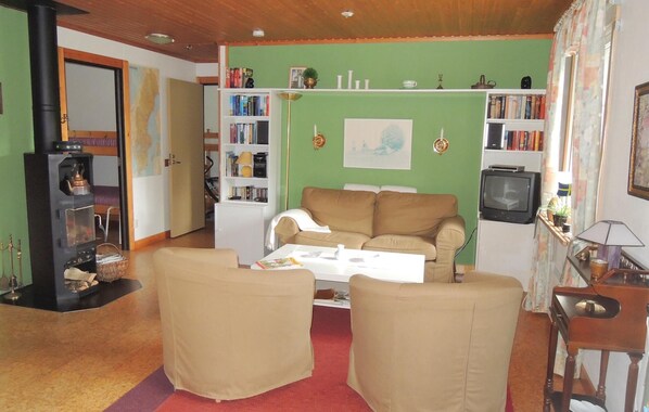 Télévision, cheminée