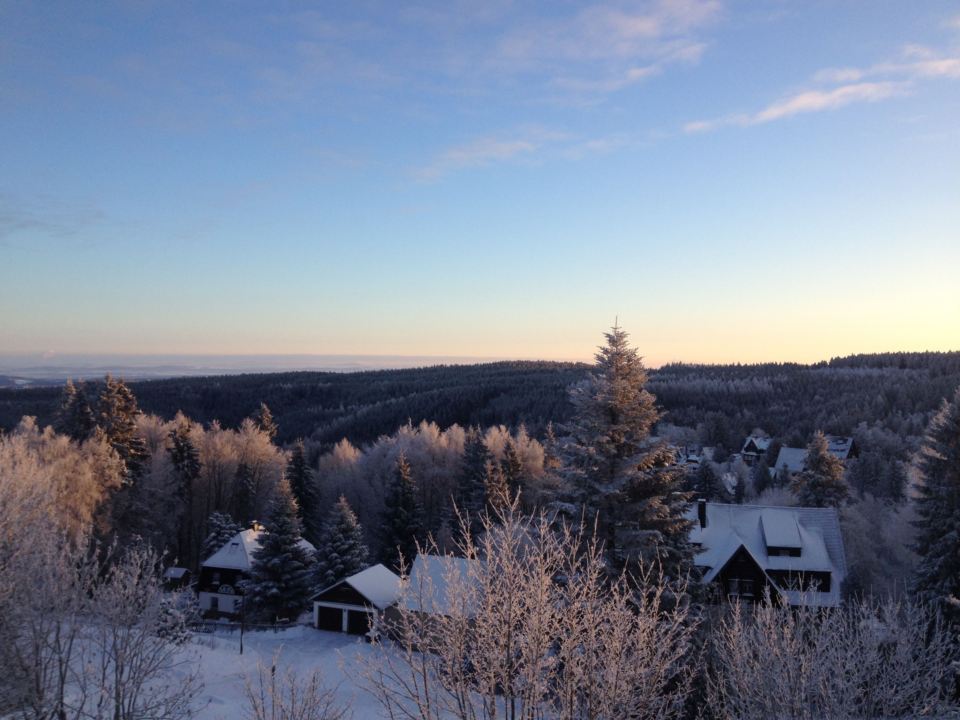 Un paysage enneigé avec des maisons et des arbres.