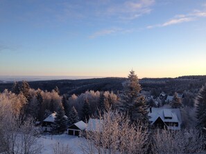 Paisagem coberta de neve com casas e árvores.