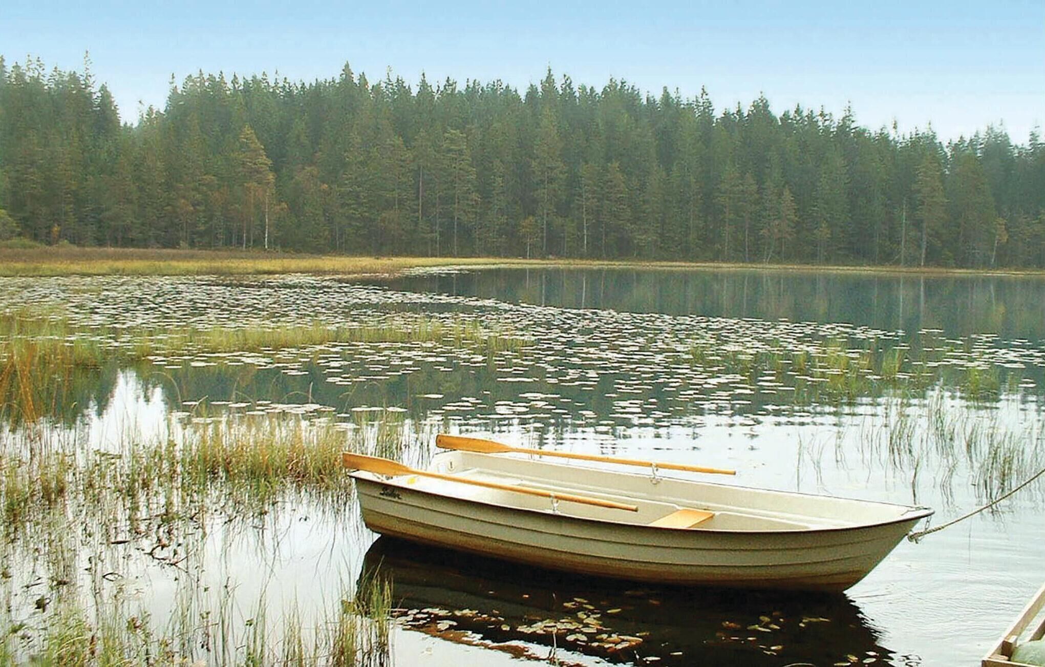 A small rowboat tied to a dock with a forested shoreline in the background.