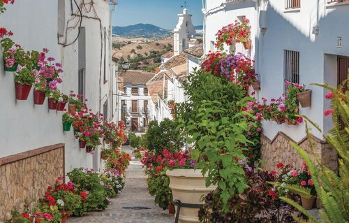 Stunning home in El Gastor