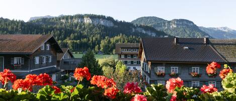 A residential area with traditional houses, a mountain backdrop, and vibrant red flowers in the foreground.