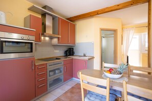Fridge, microwave, oven, highchair - Vacation home 04 and terrace - Holiday apartments with terrace in Sellin for (Sellin)