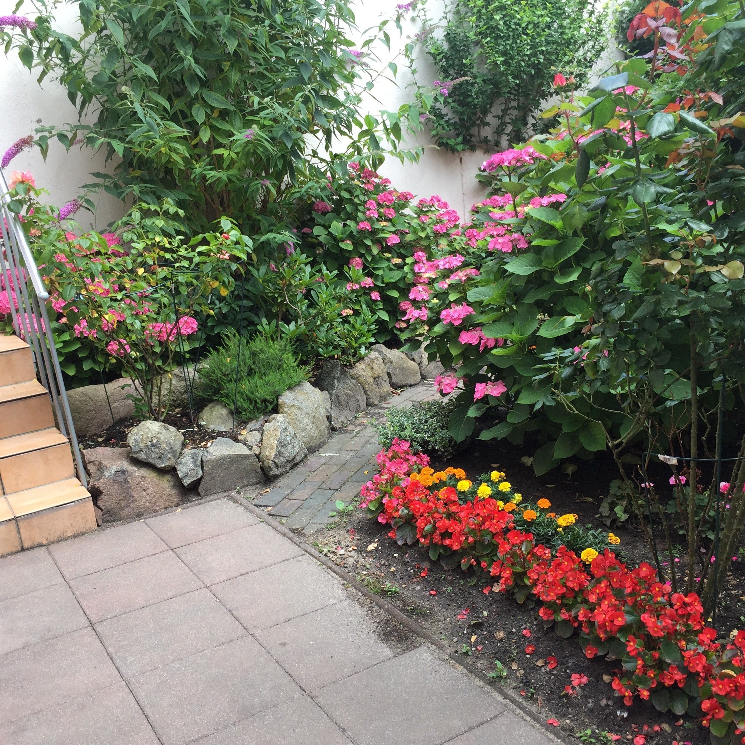 Área da propriedade