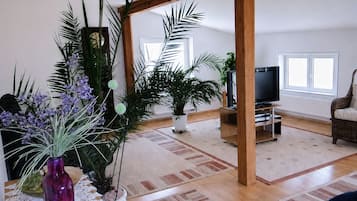 Fernseher