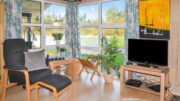 TV, fireplace, DVD player