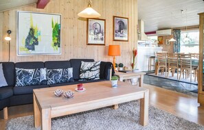 Televisión, chimenea y reproductor de DVD 