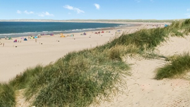 Ein Strand mit Zelten, Menschen, grasbewachsenen Dünen und dem Meer.