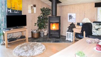 Fernseher, Kamin, DVD-Player