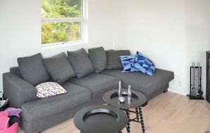 Fernseher, Kamin