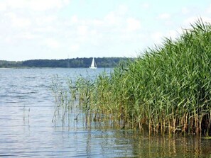 Imagem sem classificação, 3 de 17, botão