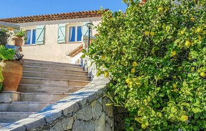Property grounds - Stunning home in Cavalaire Sur Mer (Cavalaire Sur Mer)