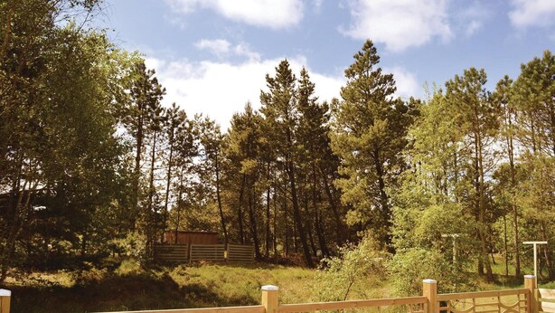 A wooden fence with a gate, surrounded by a forest with tall trees and a clear sky. - Amazing home in Rømø with kitchen (Rømø)