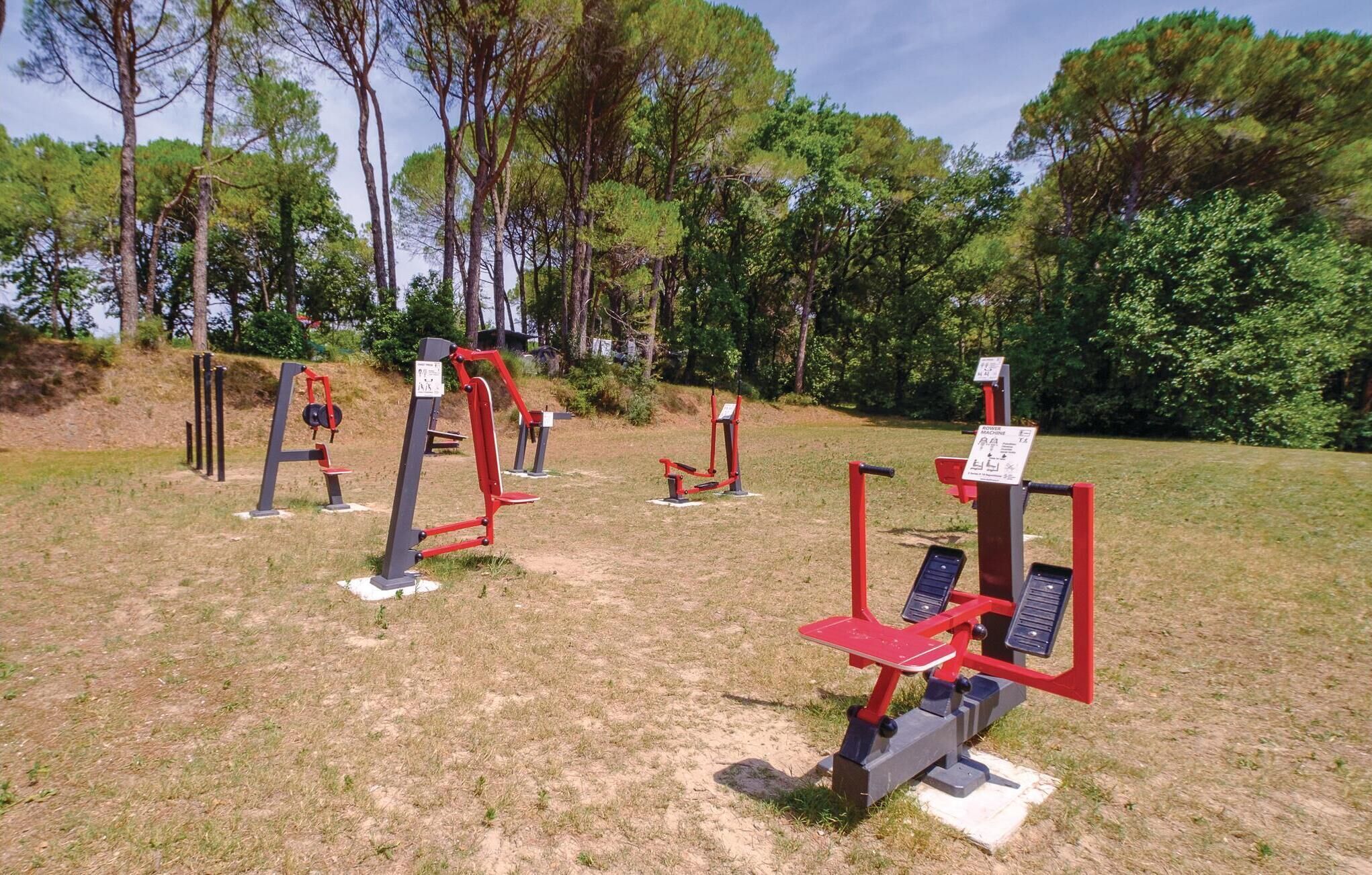 Fitnessgeräte im Freien in einem Park mit Bäumen im Hintergrund.