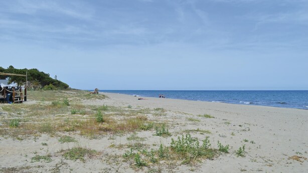 Une plage avec une structure en bois sur la gauche, un ciel dégagé et l’océan en arrière-plan.