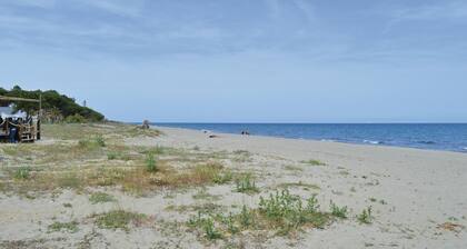 Cozy apartment in Talasani