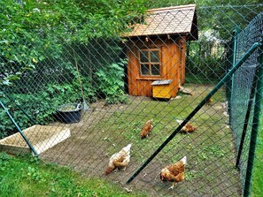 A fenced area with a small wooden structure, a feeding trough, and chickens. - Three Peaks - Ferienhof High (Hiltpoltstein)