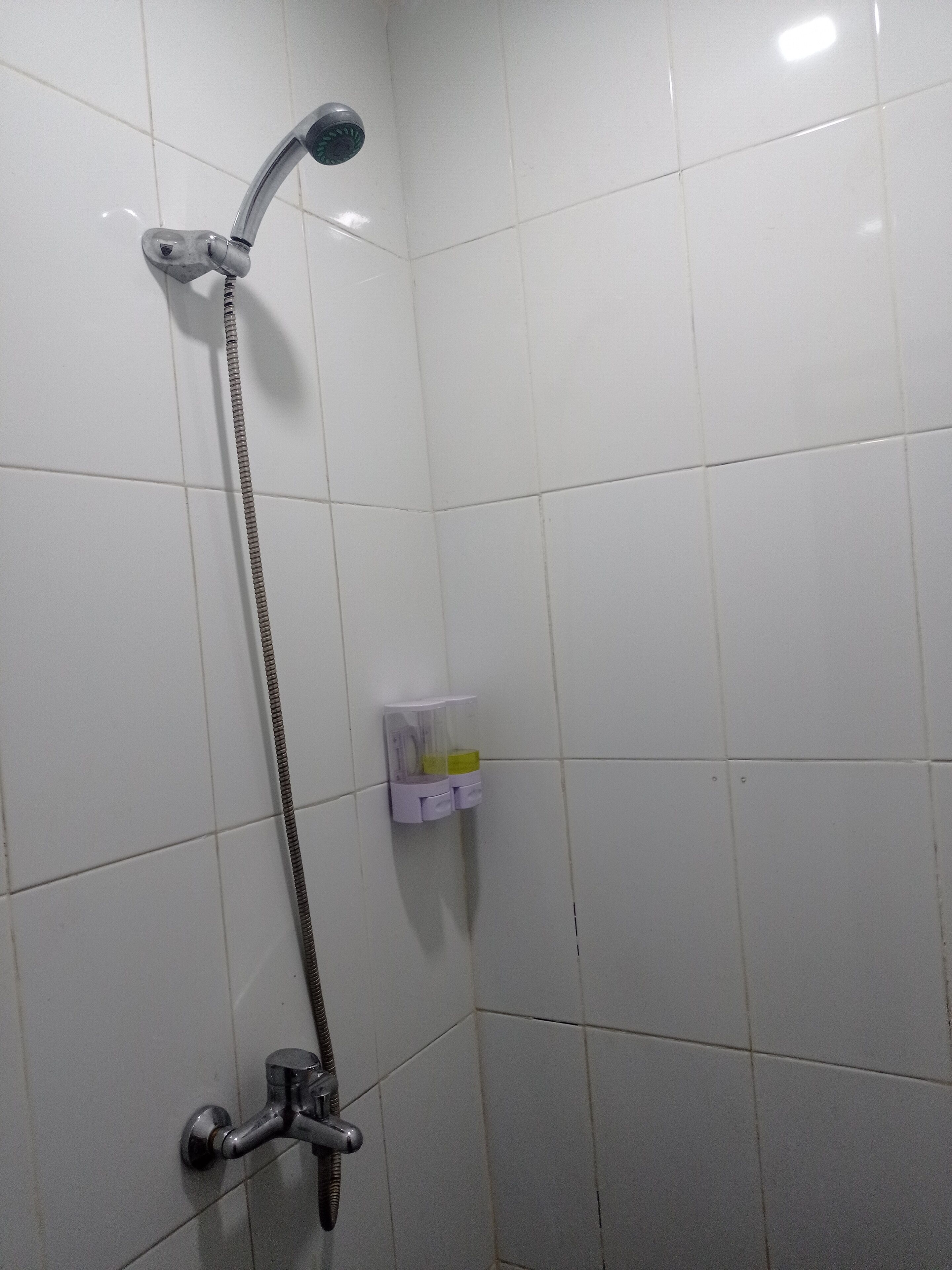 Een douche met een handdouche en een kraan aan de muur.