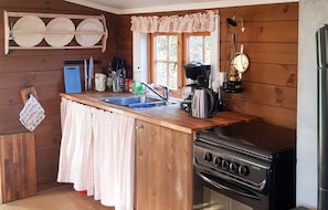 Réfrigérateur, plaque de cuisson, cafetière/bouilloire