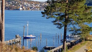 A lakeside dock with boats, a wooden pier, and a residential area in the background.