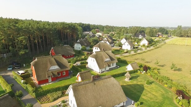 Eksteriør