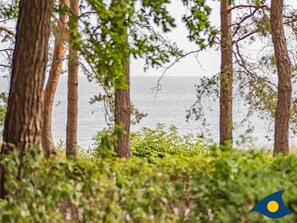 Unclassified image, 5 of 18, button