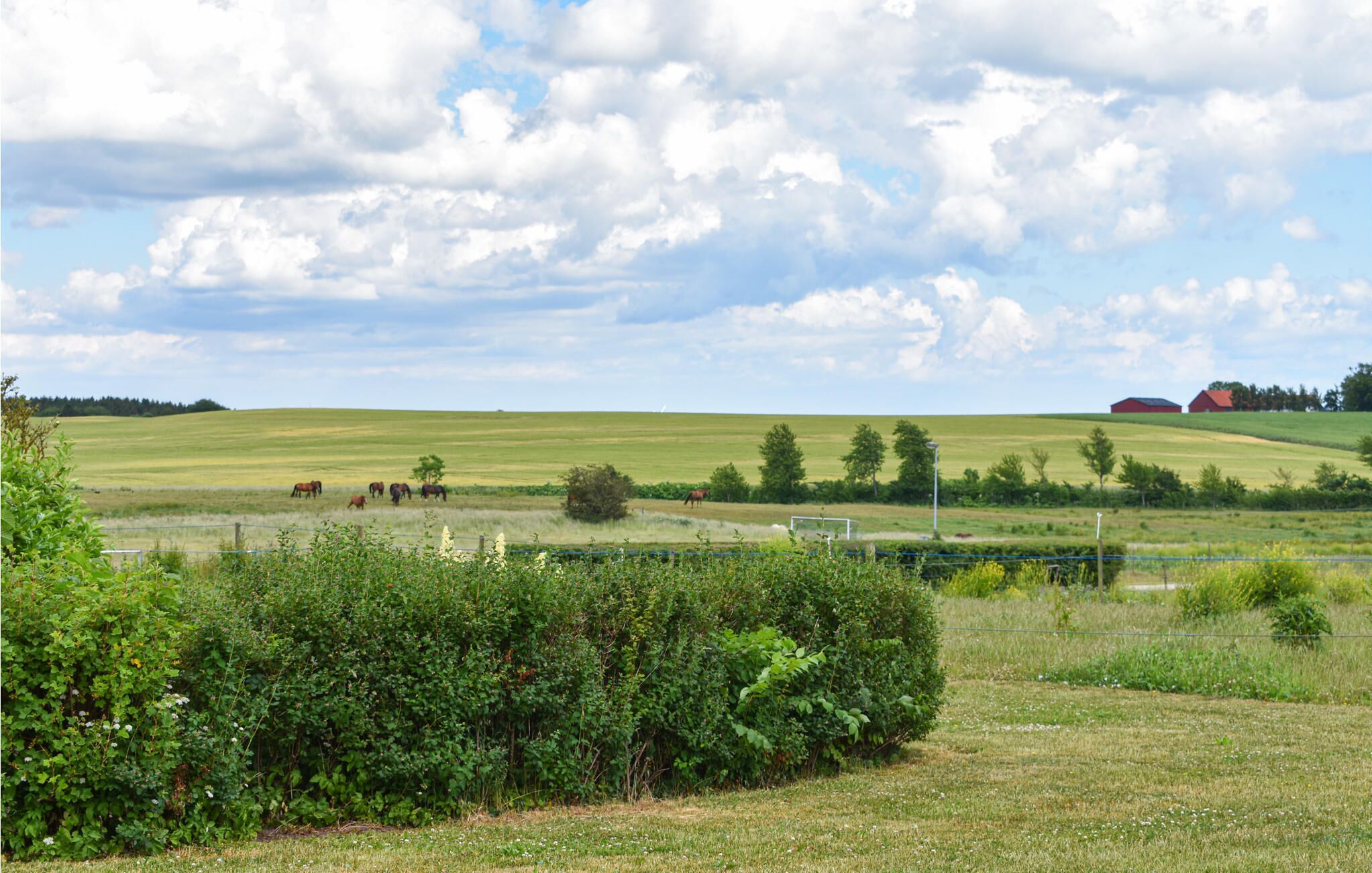 Un paysage rural avec de douces collines verdoyantes, quelques chevaux qui paissent et, au loin, une grange rouge.