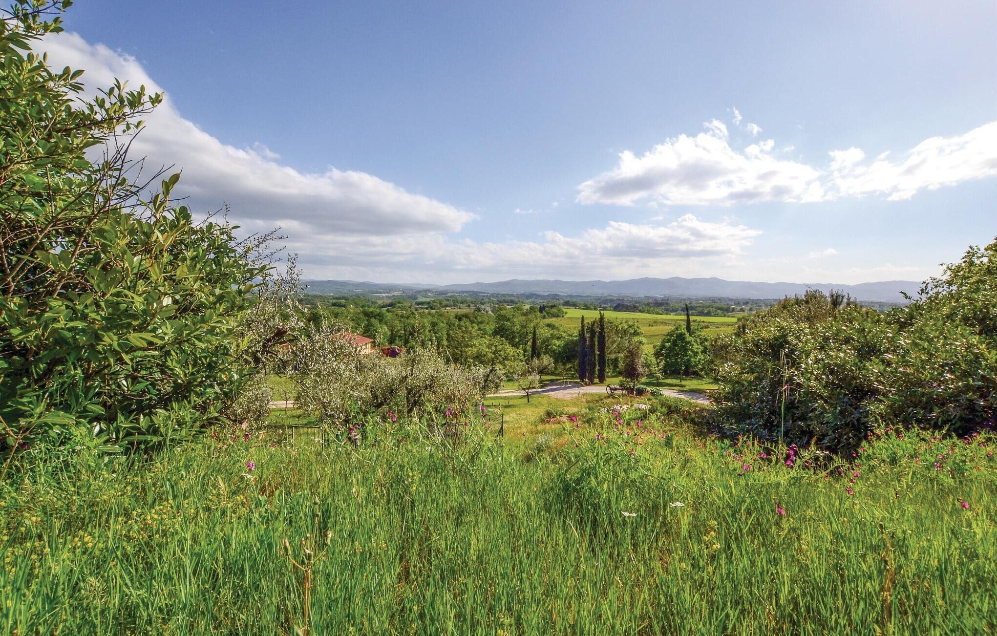 Un paysage verdoyant et luxuriant, avec un ciel dégagé, un sentier sinueux et des collines lointaines.