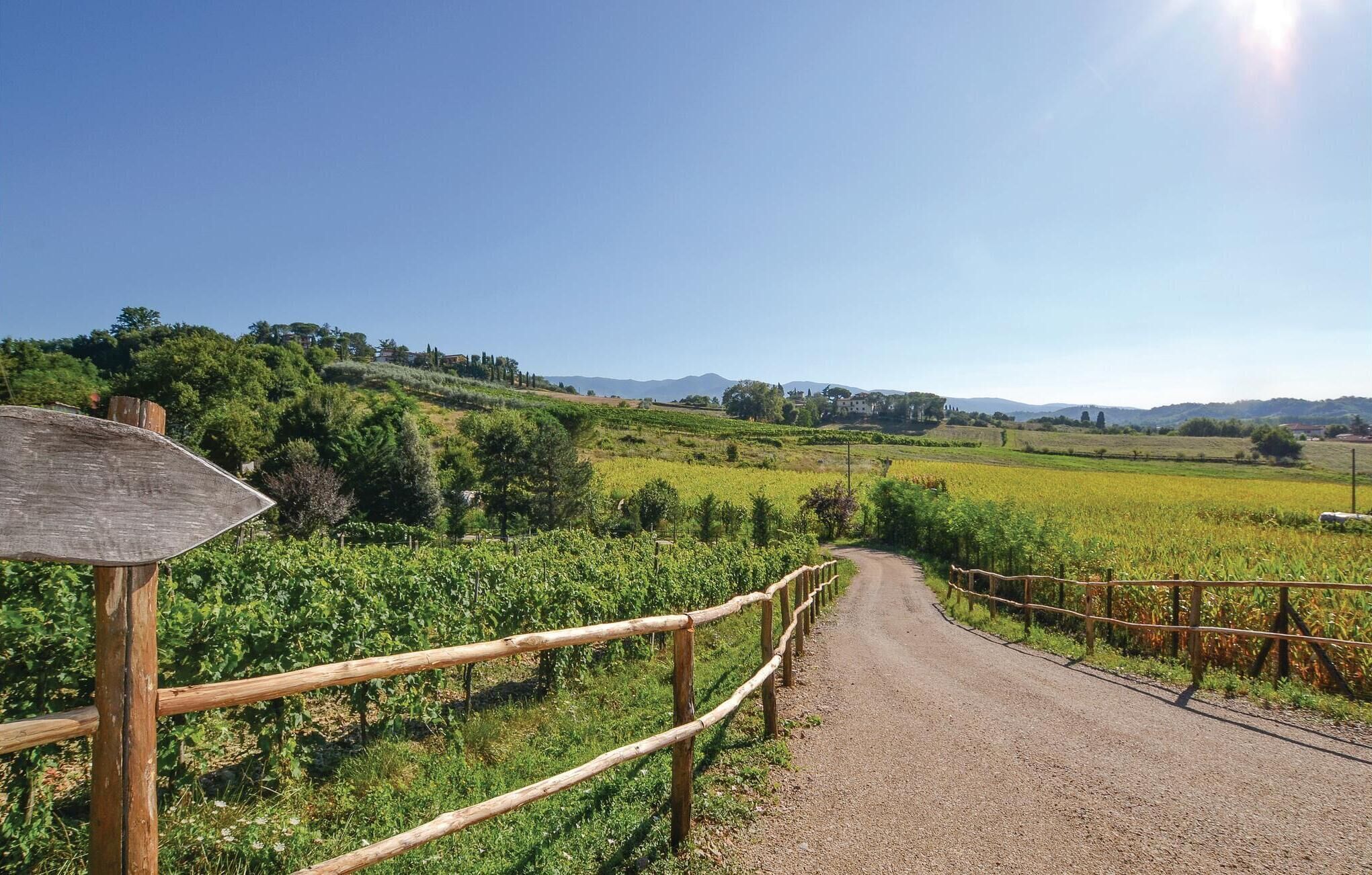 A rural road leading through a vineyard with a wooden fence on one side and a signpost on the other.