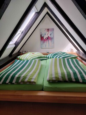 1 室のベッドルーム