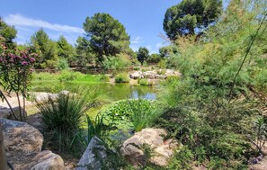 المنطقة المحيطة بالمنشأة