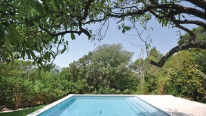 Ein rechteckiger Swimmingpool mit weißem Rand, umgeben von üppiger Vegetation und Bäumen.