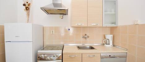 Fridge, oven, stovetop, dishwasher