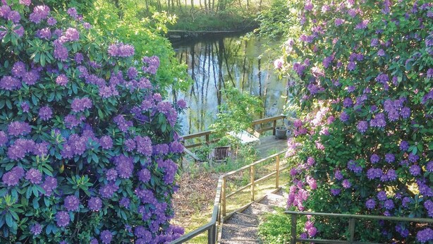 Eine hölzerne Treppe führt zu einer Steinbrücke über ein Gewässer, umgeben von üppigem Grün und violetten Blumen.