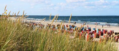 Una playa cerca