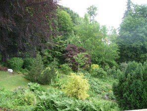 Unclassified image, 2 of 15, button