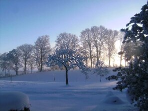 Imagen sin descripción, 3 de 21, botón