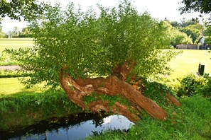 Luokittelematon kuva, 3 kautta 30, painike