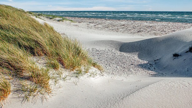 Una playa con dunas de arena y una vista despejada del océano.
