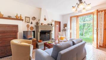 Télévision, cheminée, lecteur de DVD