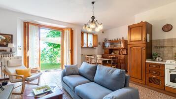 Télévision, cheminée, lecteur de DVD