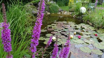 Enceinte de lâhĂ©bergement