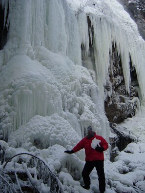 Immagine non classificata, 2 di 26, pulsante
