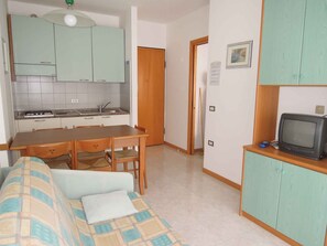 A compact living space with a kitchenette, a dining area, a sofa, and a television.