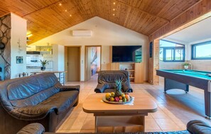 TV, fireplace, table tennis