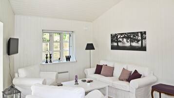 Tv, pejs, dvd-afspiller