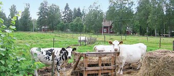 Schönes Zuhause in Hagfors