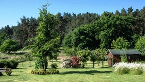 A rustic cabin surrounded by lush greenery and a well-maintained lawn. - Landschek, Holiday home Das Ulmenhaus - Holiday home (Rankwitz)